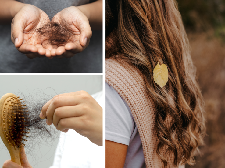 Eine Collage mit Händen voller ausgefallener brauner Haare, einer Haarbürste mit Haarbüscheln und langen braunen Locken mit einem gelben Blatt.