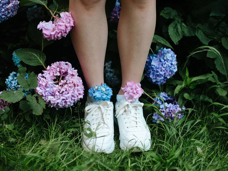 Weiße Turnschuhe mit bunten Hortensien in den Socken stehen zwischen blühenden Hortensienbüschen und Stauden im hohen Gras.