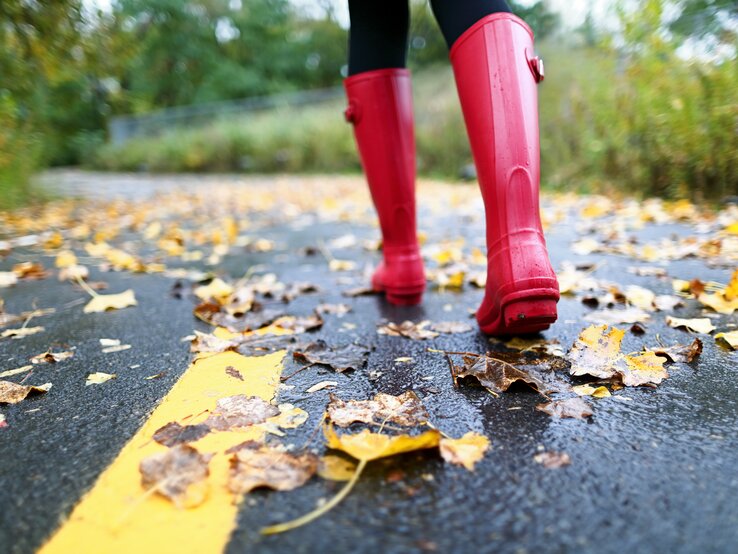 Rote Gummistiefel treten auf einen nassen Asphaltweg, bedeckt mit bunten Herbstblättern, umgeben von grüner Vegetation.