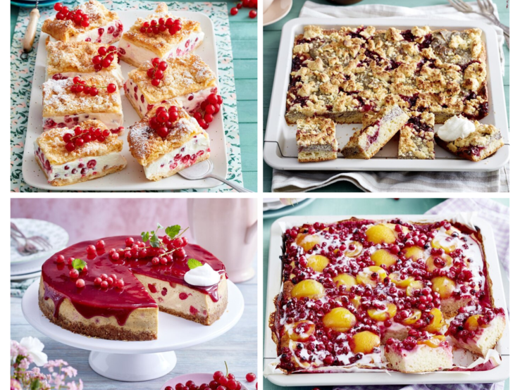 Mehrere Johannisbeerkuchen in einer Collage