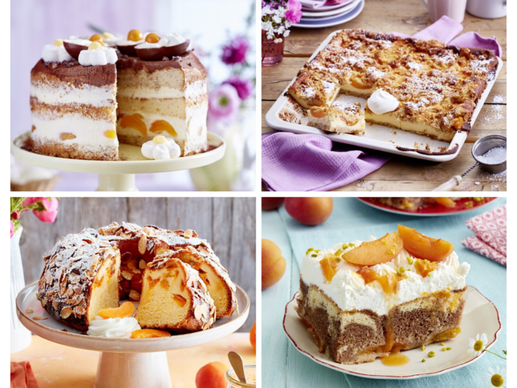 mehrere Aprikosenkuchen in einer Collage