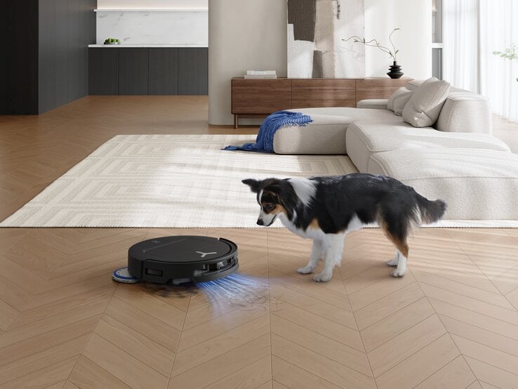 ECOVACS Prime Day Deals Aufmacher Ein Border Collie mit schwarz-weißem Fell beobachtet neugierig einen schwarzen Saugroboter auf einem hellen Holzfußboden.