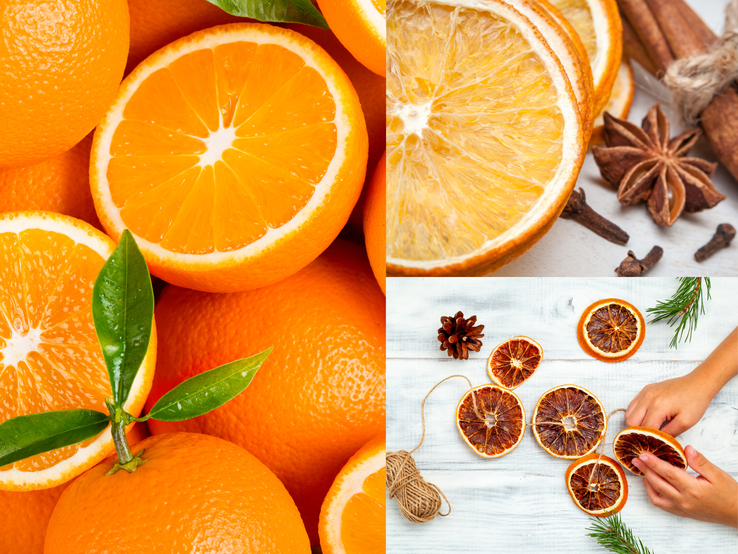Frisch geschnittene Orangen, getrocknete Scheiben mit Gewürzen und eine Hand, die Orangendeko mit Tannenzweigen bastelt.