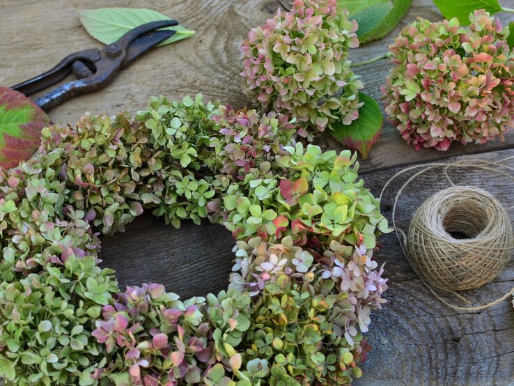 Kranz aus zart rosagrünen Hortensienblüten liegt neben Gartenschere, Juteschnur und Blütenbällen auf rustikalem Holz.